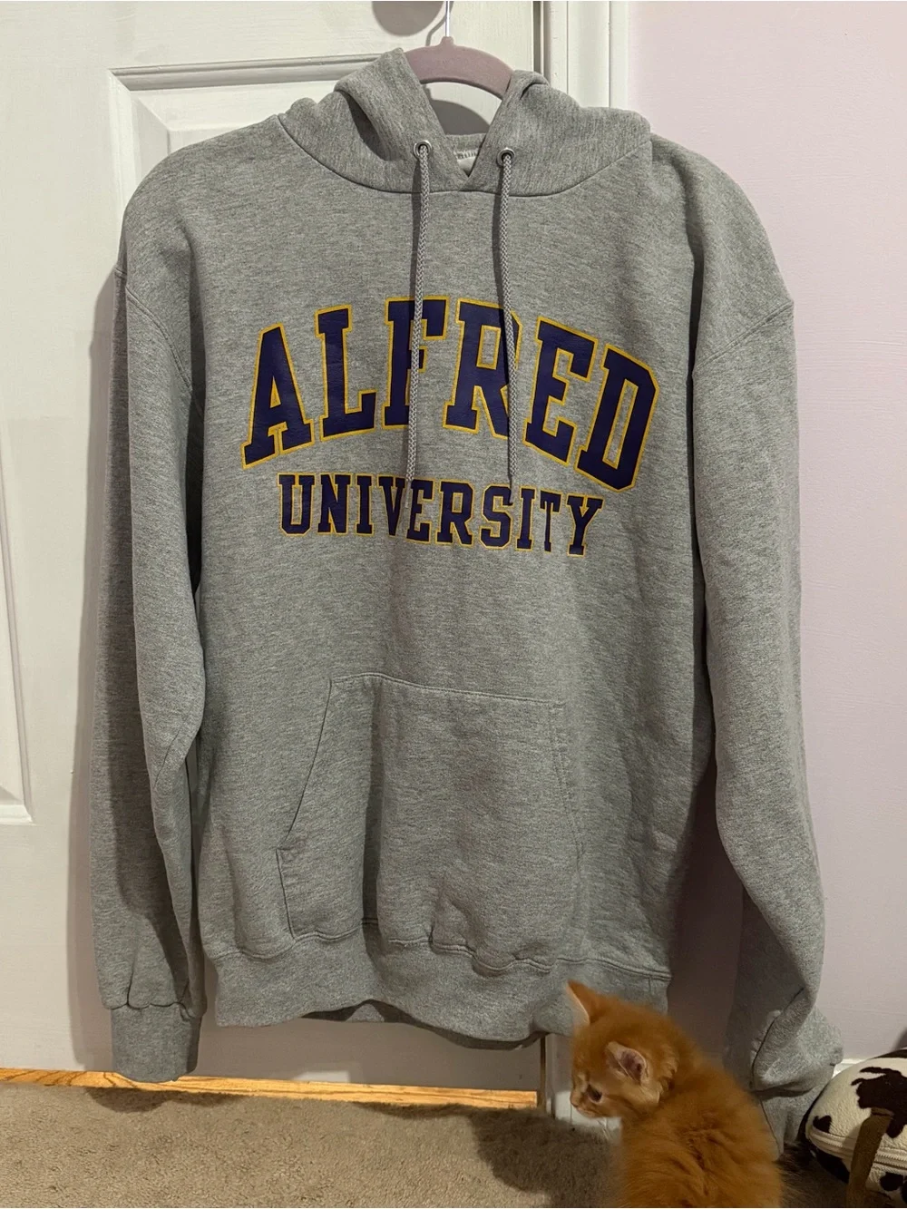 Champion Gray Hooded Sweatshirt with Purple and Gold University Lettering